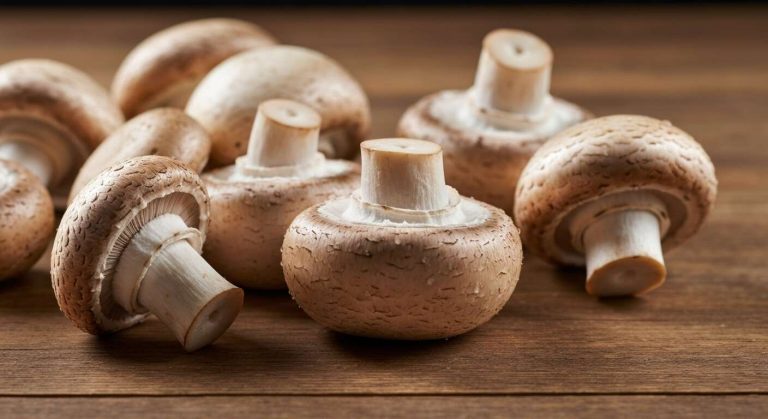 L'erreur de ne pas essuyer les champignons avant de les cuisiner, ce qui les gorge d'eau