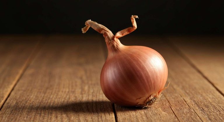 Les gens sont souvent confus, mais une échalote n'est pas du tout un "petit oignon", c'est une autre plante